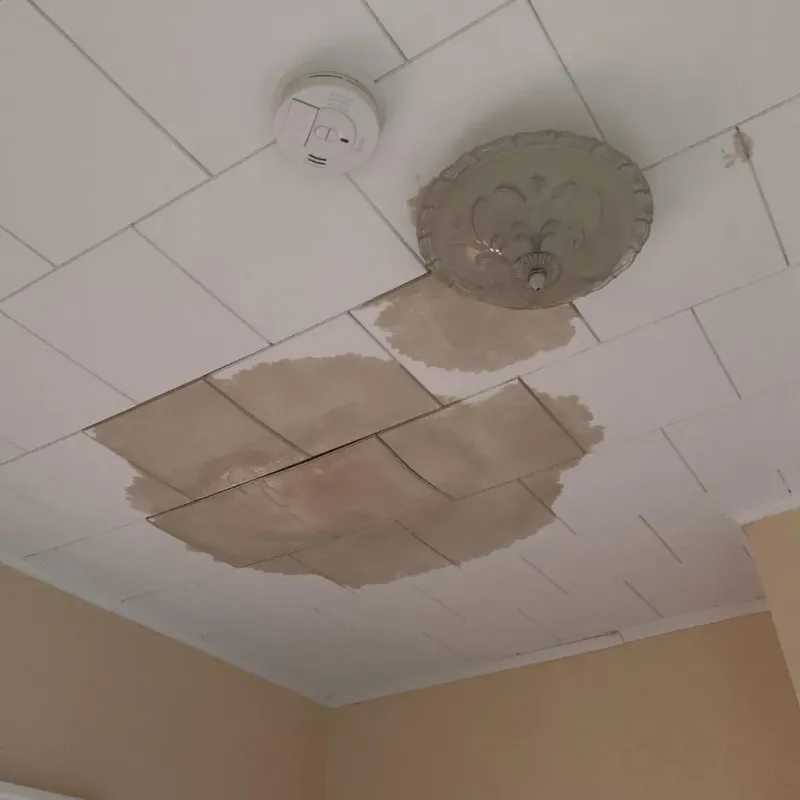 Ceiling Water Damage Repair in Church Hill, TN