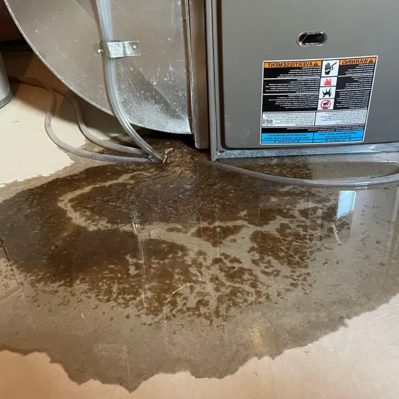 Pipe Burst and Leak Restoration in Church Hill, TN
