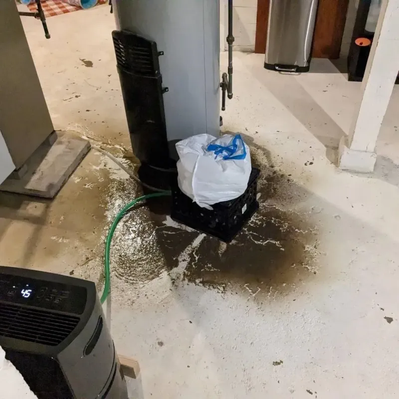 Sewage Backup Cleanup Service in Church Hill, TN